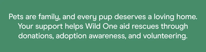 Pets are family, and every pup deserves a loving home. Your support helps Wild One aid rescues through donations, adoption awareness, and volunteering.
