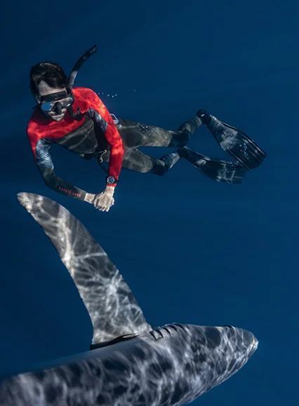 Diver wearing BN1024-01Z, swimming next to a sea animal