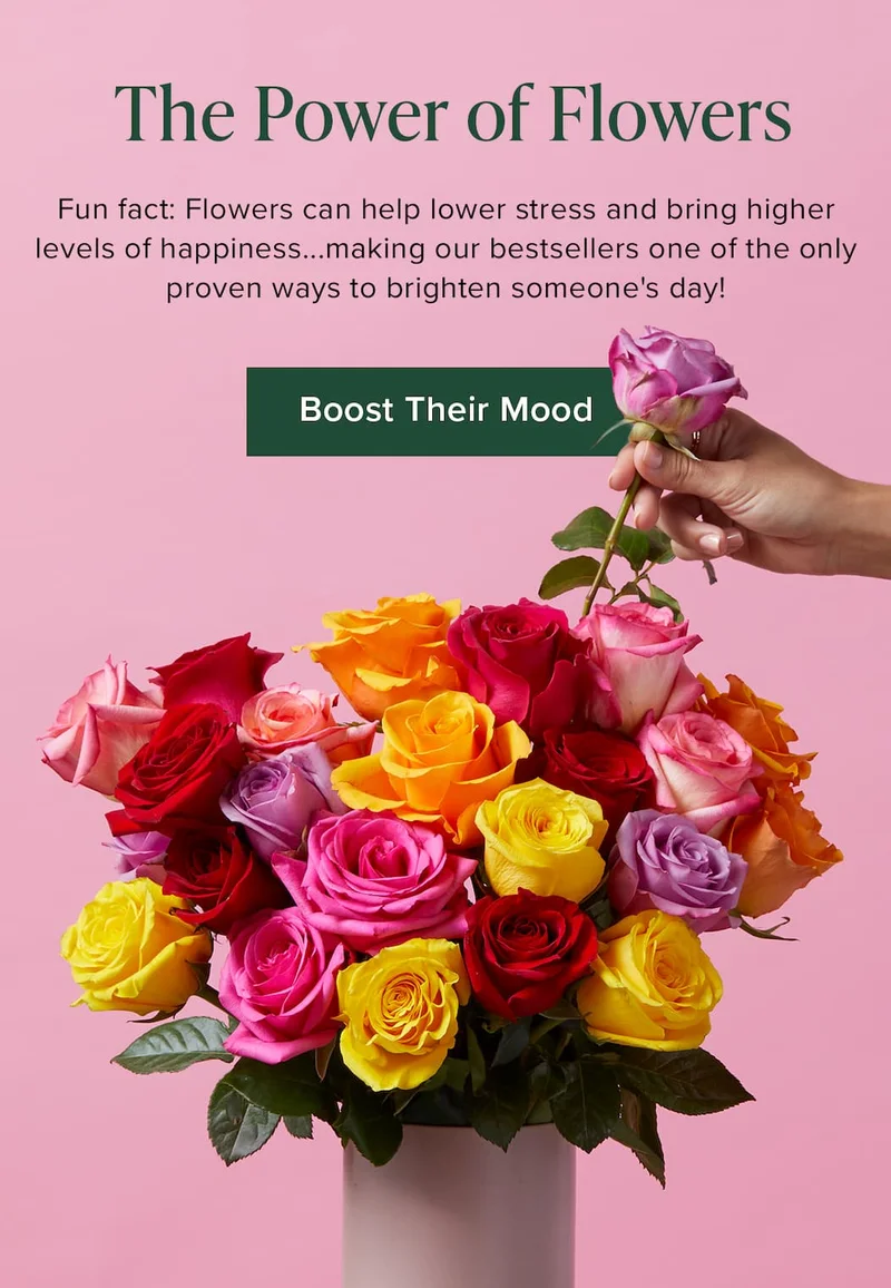 The Power of Flowers! Fun fact: Flowers can help lower stress and bring higher levels of happiness...making our bestsellers one of the only proven ways to brighten someone's day! Boost Their Mood
