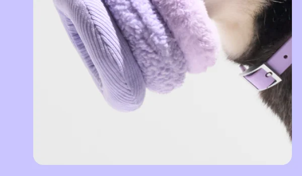 Plush Toys