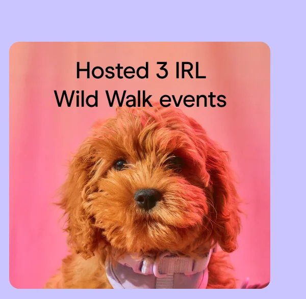 Hosted 3 IRL Wild Walk events