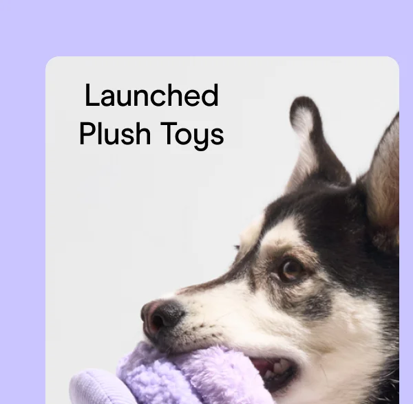 Launched Plush Toys