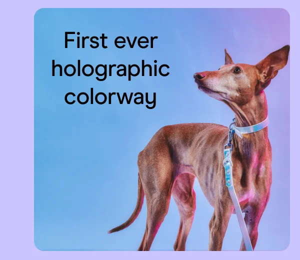First ever holographic colorway