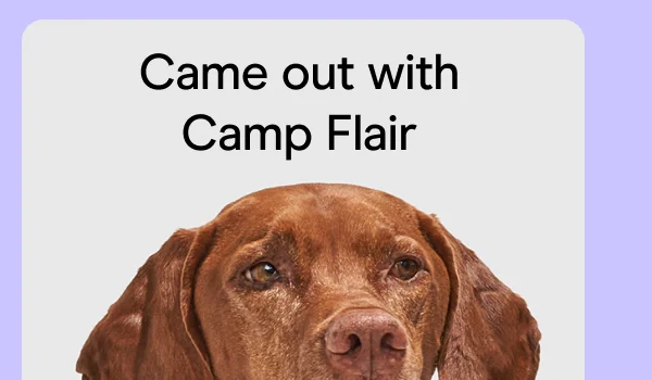 Came out with Camp Flair