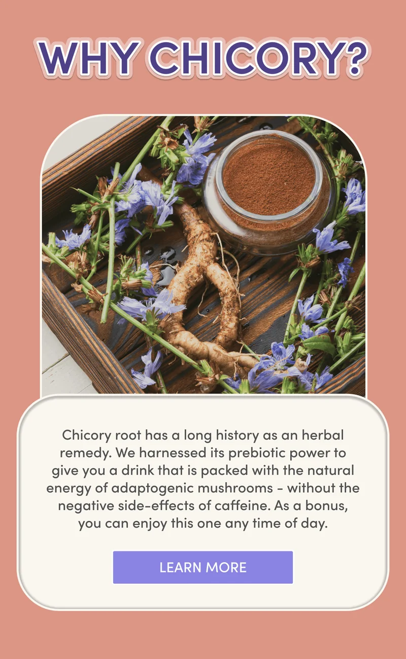 Why Chicory? Chicory root has a long history as an herbal remedy. We harnessed its prebiotic power to give you a drink that is packed with the natural energy of adaptogenic mushrooms - without the negative side-effects of caffeine. As a bonus, you can enjoy this one any time of day.