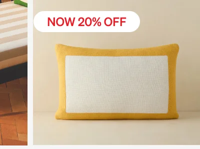 Shop Amica Pillow