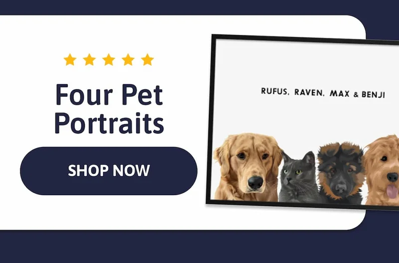 Four Pet Portraits