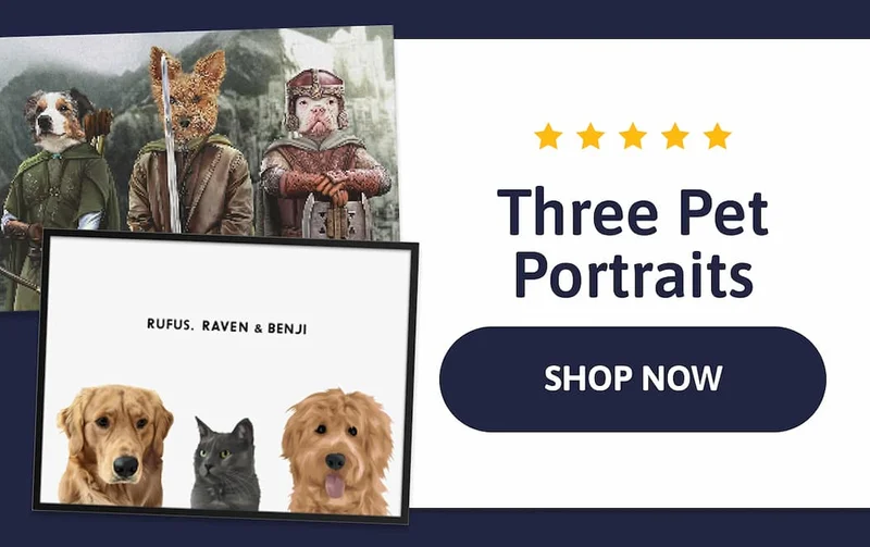 Three Pet Portraits