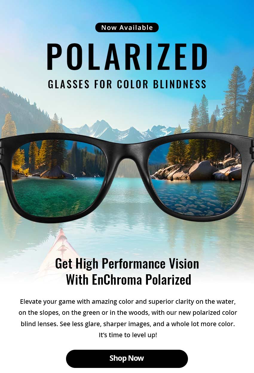 Shop Polarized