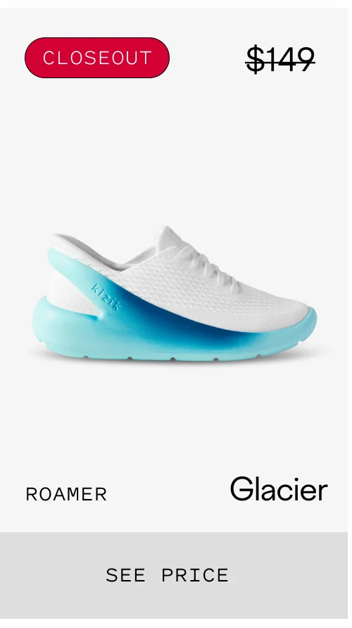 Roamer Glacier