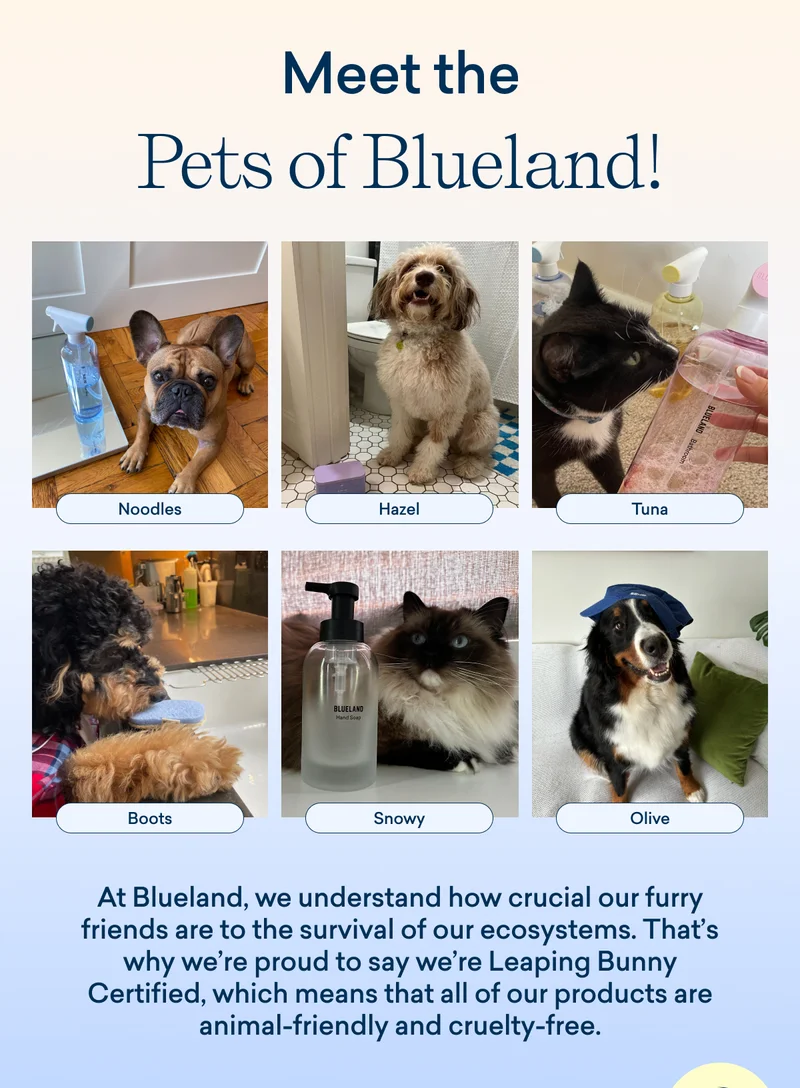 Meet the pets of Blueland!