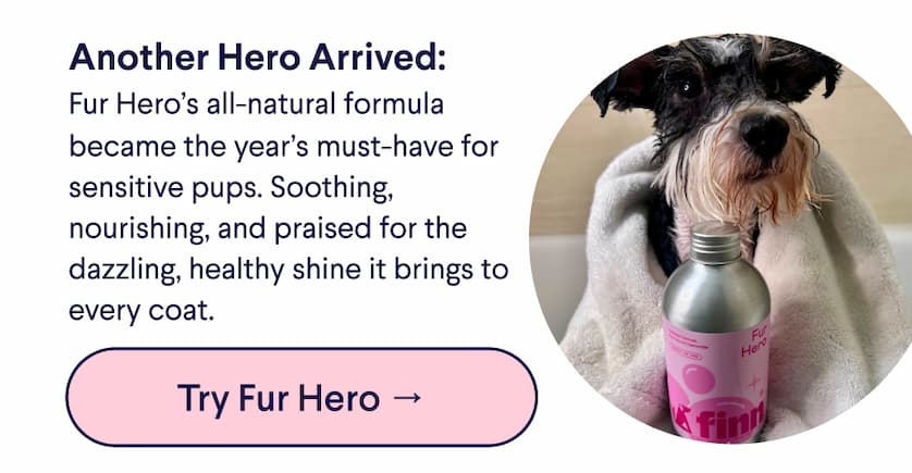 Header: Another Hero Arrived. Text: Fur Hero’s all-natural formula became the year’s must-have for sensitive pups. Soothing, nourishing, and praised for the dazzling, healthy shine it brings to every coat. CTA: Try Fur Hero →