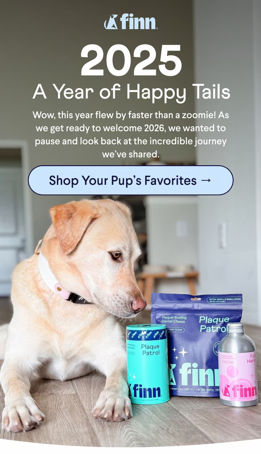 Finn logo. Header: 2025 A Year of Happy Tails Text: Wow, this year flew by faster than a zoomie! As we get ready to welcome 2026, we wanted to pause and look back at the incredible journey we’ve shared. CTA: Shop Your Pup’s Favorites →