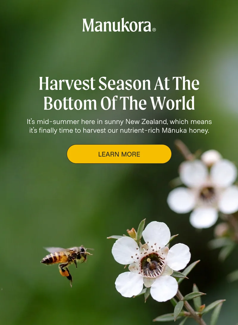 Harvest Season at The Bottom of The World It’s mid-summer here in sunny New Zealand, which means it’s finally time to harvest our nutrient-rich Mānuka honey. Learn More