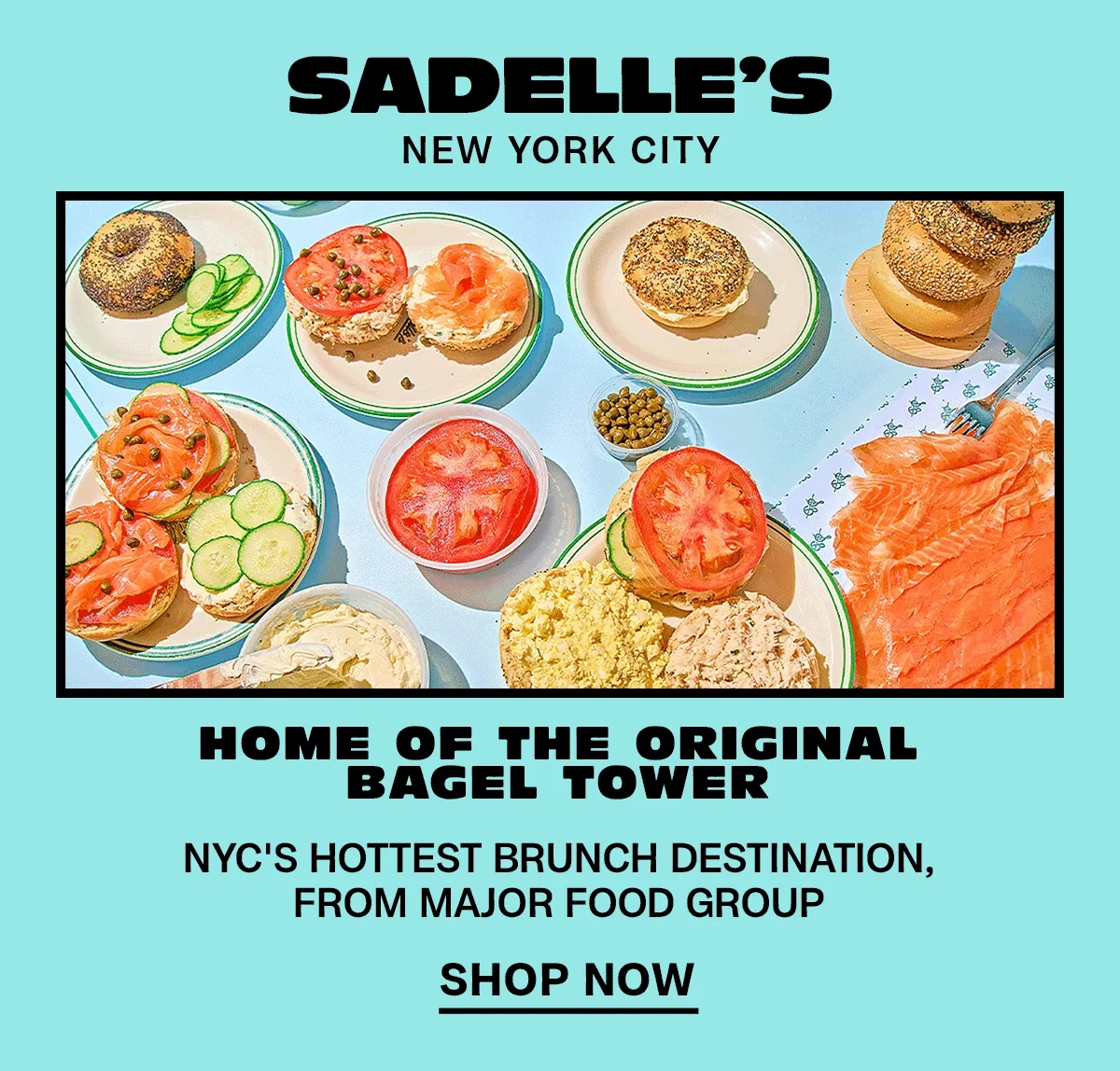 sadelles