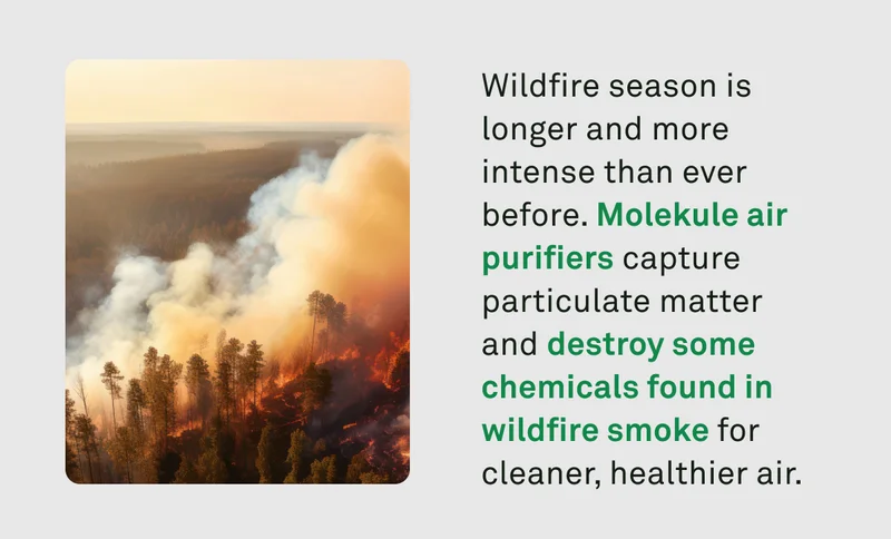 Molekule air purifiers capture particulate matter and destroy some chemicals found in wildfire smoke for cleaner, healthier air.