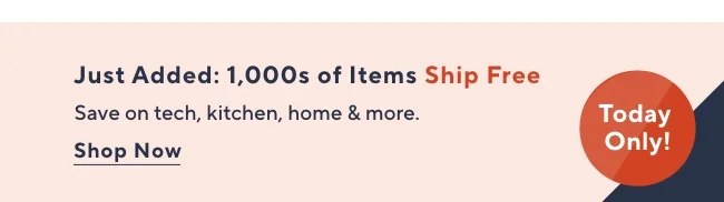 pres day sale