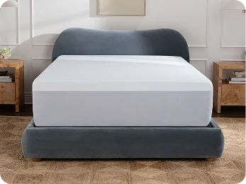 Mattress Protector