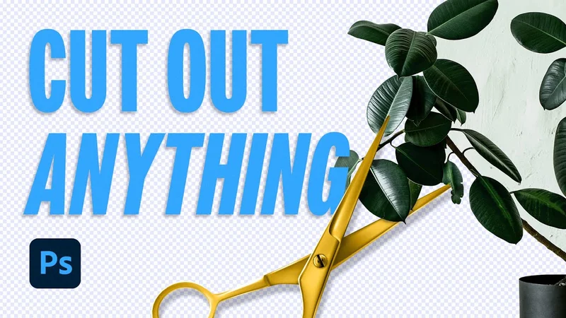Cut out anything