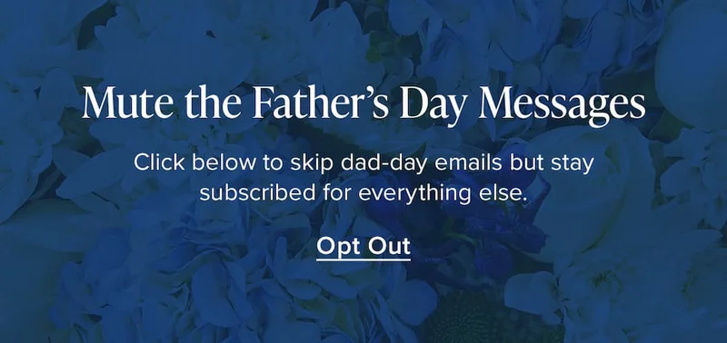 Mute the Father's Day Messages. Click below to skip dad-day emails but stay subscribed for everything else. Opt Out.