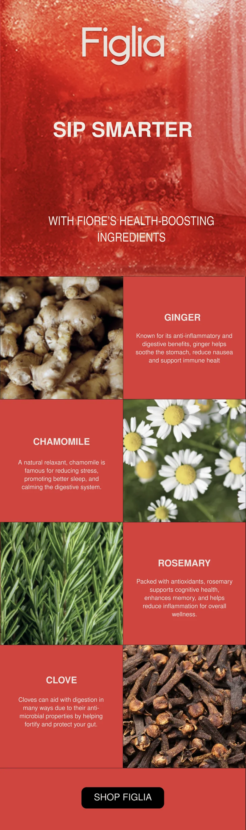 Sip Smarter with Fiore's health boosting ingredients of Ginger, Chamomile, Rosemary and Clove.
