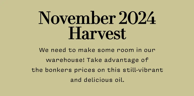 2024 HARVEST We need to make some room in our warehouse! Take advantage of the bonkers prices on this still-vibrant and delicious oil, best used within 8 - 12 months.