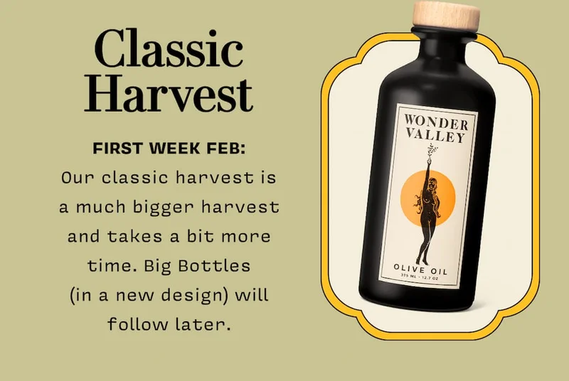 CLASSIC HARVEST FIRST WEEK FEB: Our classic harvest is a much bigger harvest and takes a bit more time. Big Bottles (in a new design) will follow later.