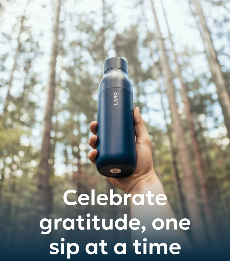 Celebrate gratitude, one sip at a time