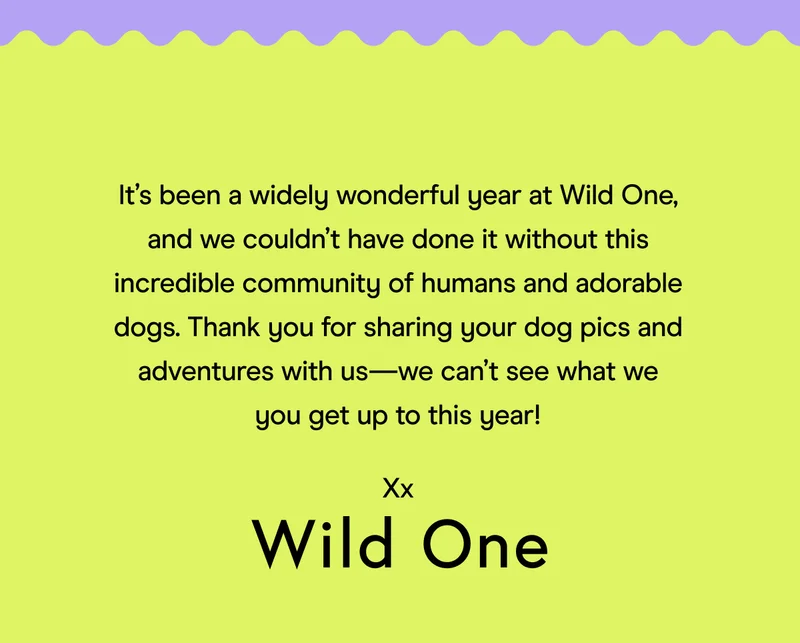 wild one