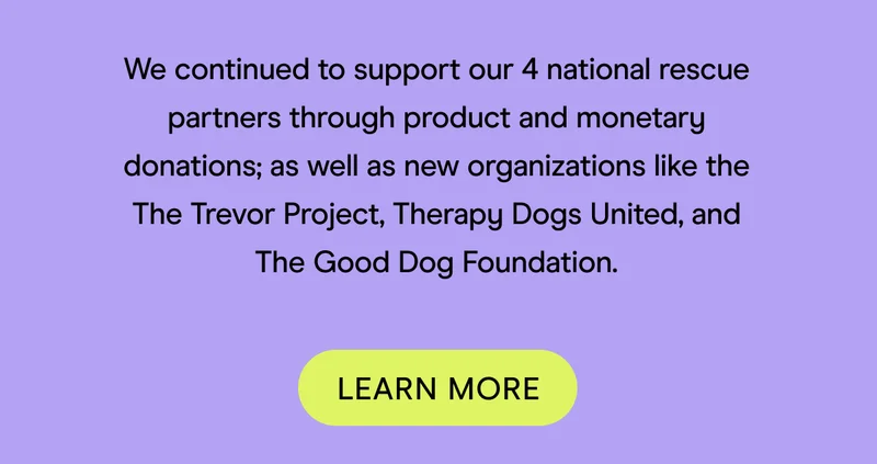 good dog foundation