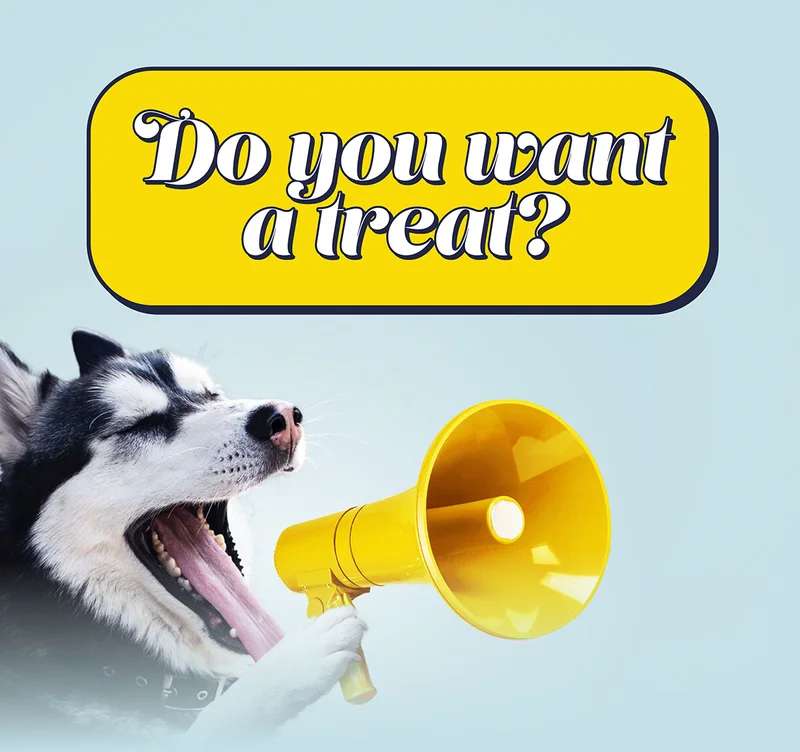 Do you want a treat?