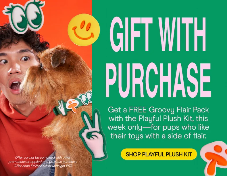 Get a FREE Groovy Flair Pack with the Playful Plush Kit, this week only—for pups who like their toys with a side of flair. SHOP WALK KITS