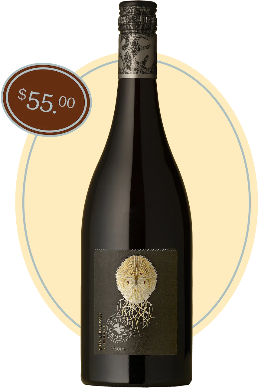 Bottle shot of Foothills Pinot Noir 2024
