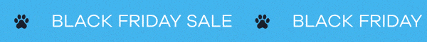 black Friday sale