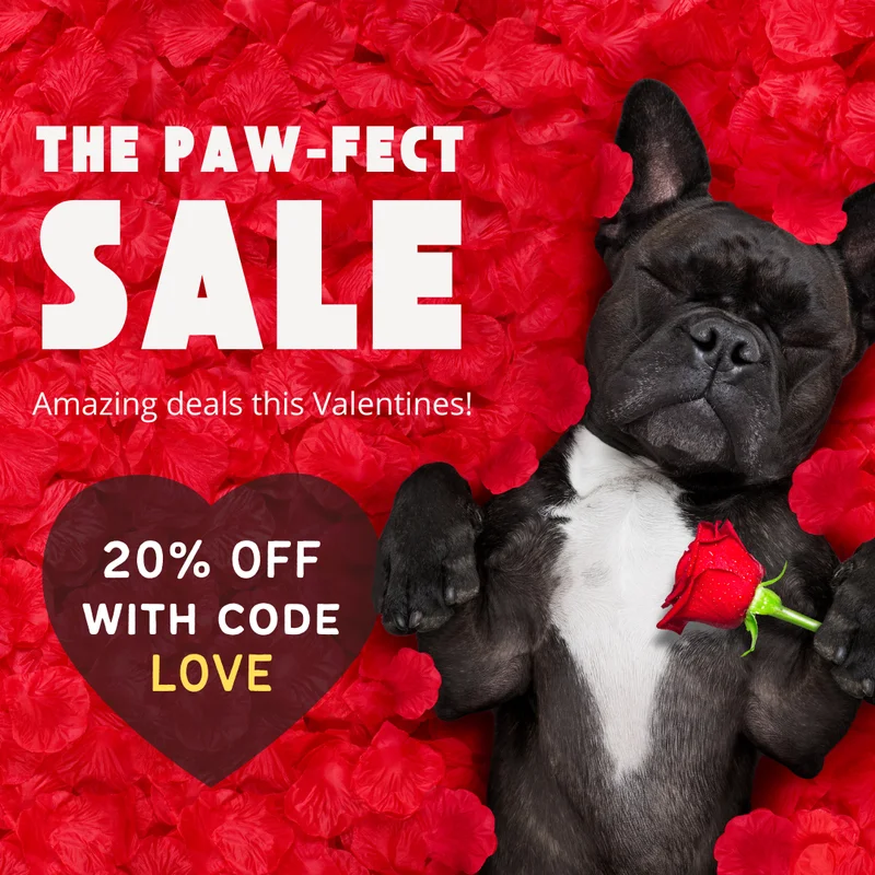 Valentine's day sale