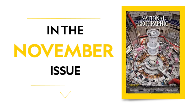 In The Novemeber Issue
