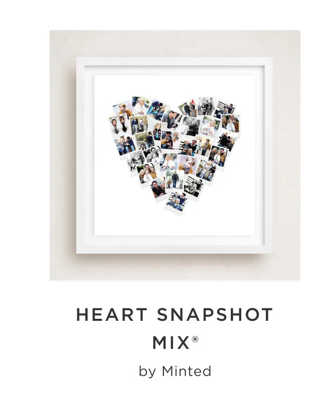 Heart Snapshot Mix®