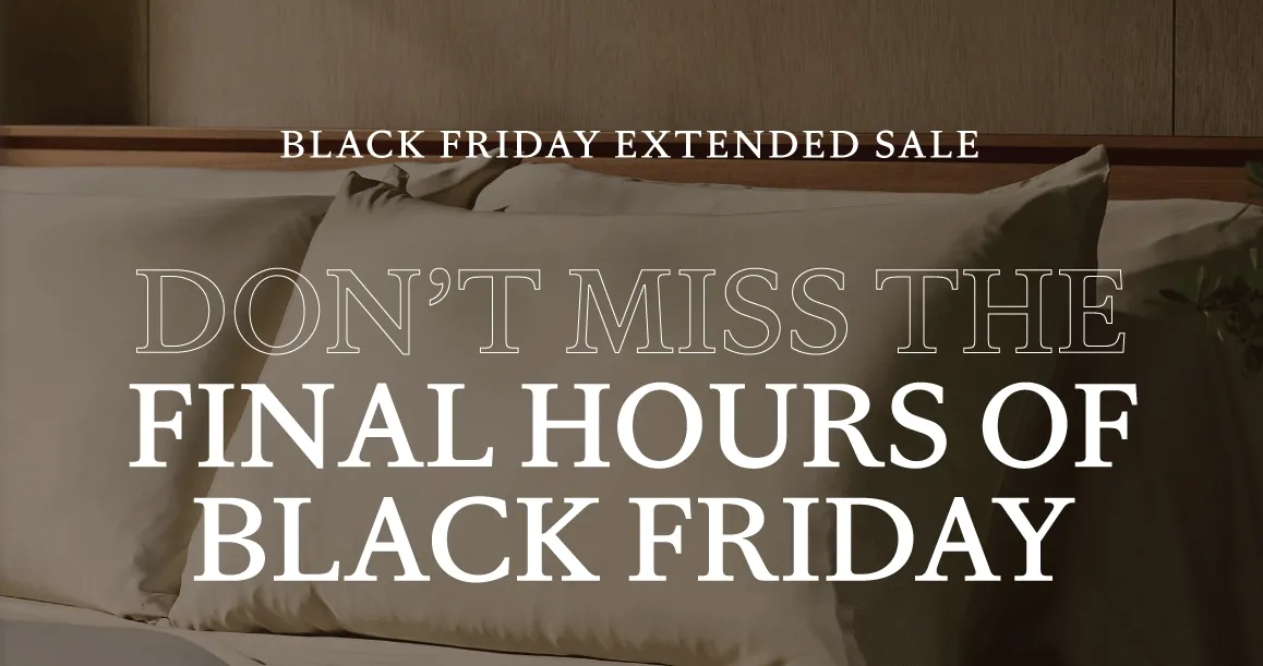 Don't Miss The FINAL HOURS of the BLACK FRIDAY SALE! Don't Miss The FINAL HOURS of the BLACK FRIDAY SALE!