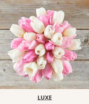 Flowers At a Great Price