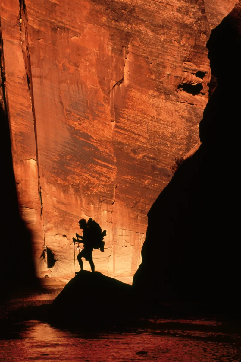 When hiking on challenging terrain, the average person can burn around 400-550 calories per hour, says one expert.