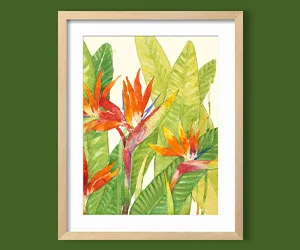 Tropical Heat Wave Collection