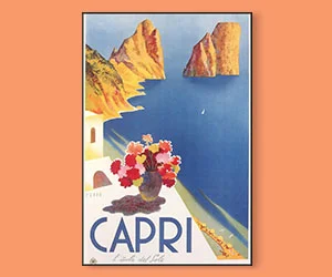 Vintage Travel Collection