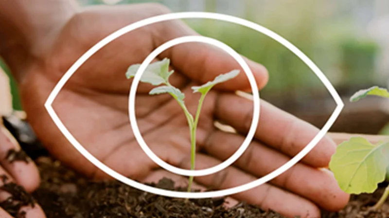 Young Climate Prize logo on image of child planting a tree.