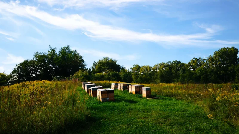 MillerKnoll sustainable packaging
