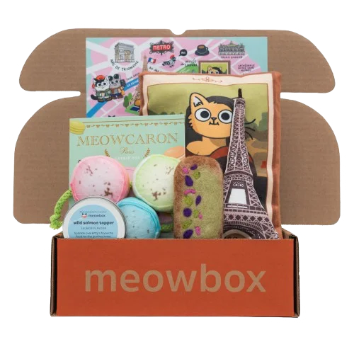 a box filled with Paris-themed cat toys and treats
