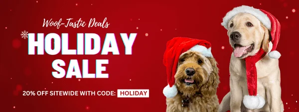 Order Now for Delivery Before Christmas