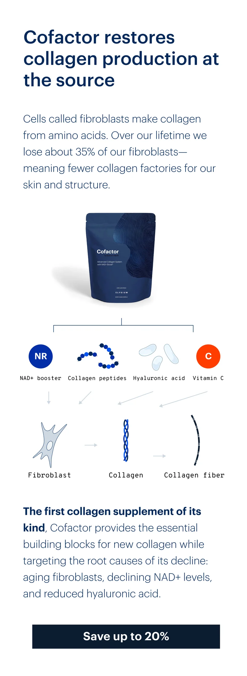 Cofactor restores collagen production at the source | Save up to 20%
