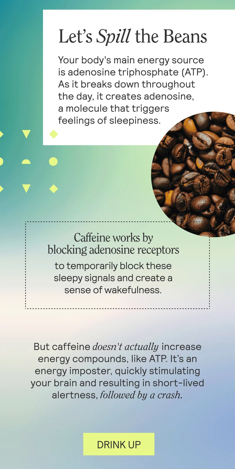 Let’s Spill the Beans. Your body's main energy source is adenosine triphosphate (ATP). As it breaks down throughout the day, it creates adenosine, a molecule that triggers feelings of sleepiness.  Caffeine works by blocking adenosine receptors to temporarily block these sleepy signals and create a sense of wakefulness.  But caffeine doesn't actually increase energy compounds, like ATP. It’s an energy imposter, quickly stimulating your brain and resulting in short-lived alertness, followed by a crash. DRINK UP