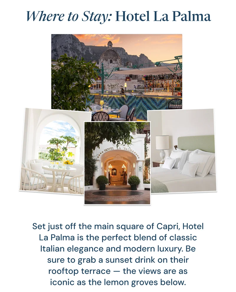 Where to Stay: Hotel La Palma. Set just off the main square of Capri, Hotel La Palma is the perfect blend of classic Italian elegance and modern luxury. Be sure to grab a sunset drink on their rooftop terrace — the views are as iconic as the lemon groves below.