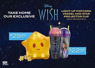 WISH CCV